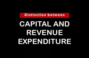 Revenue Expenditure