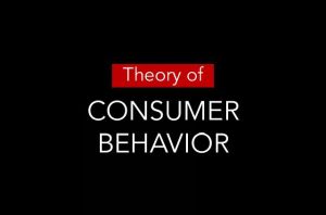 Theory Of Consumer Behaviour
