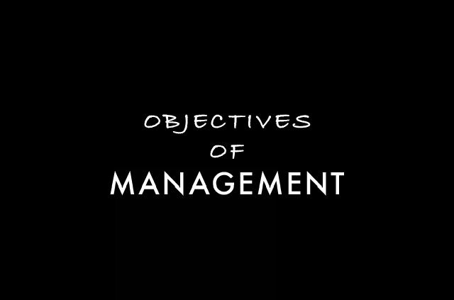 Objectives of management