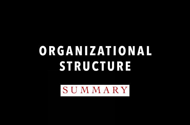 Organisational Structure