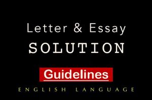 Essay