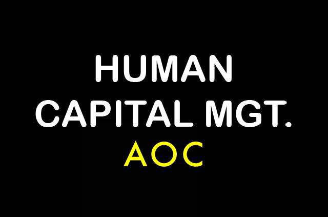 HUMAN CAPITAL MGT